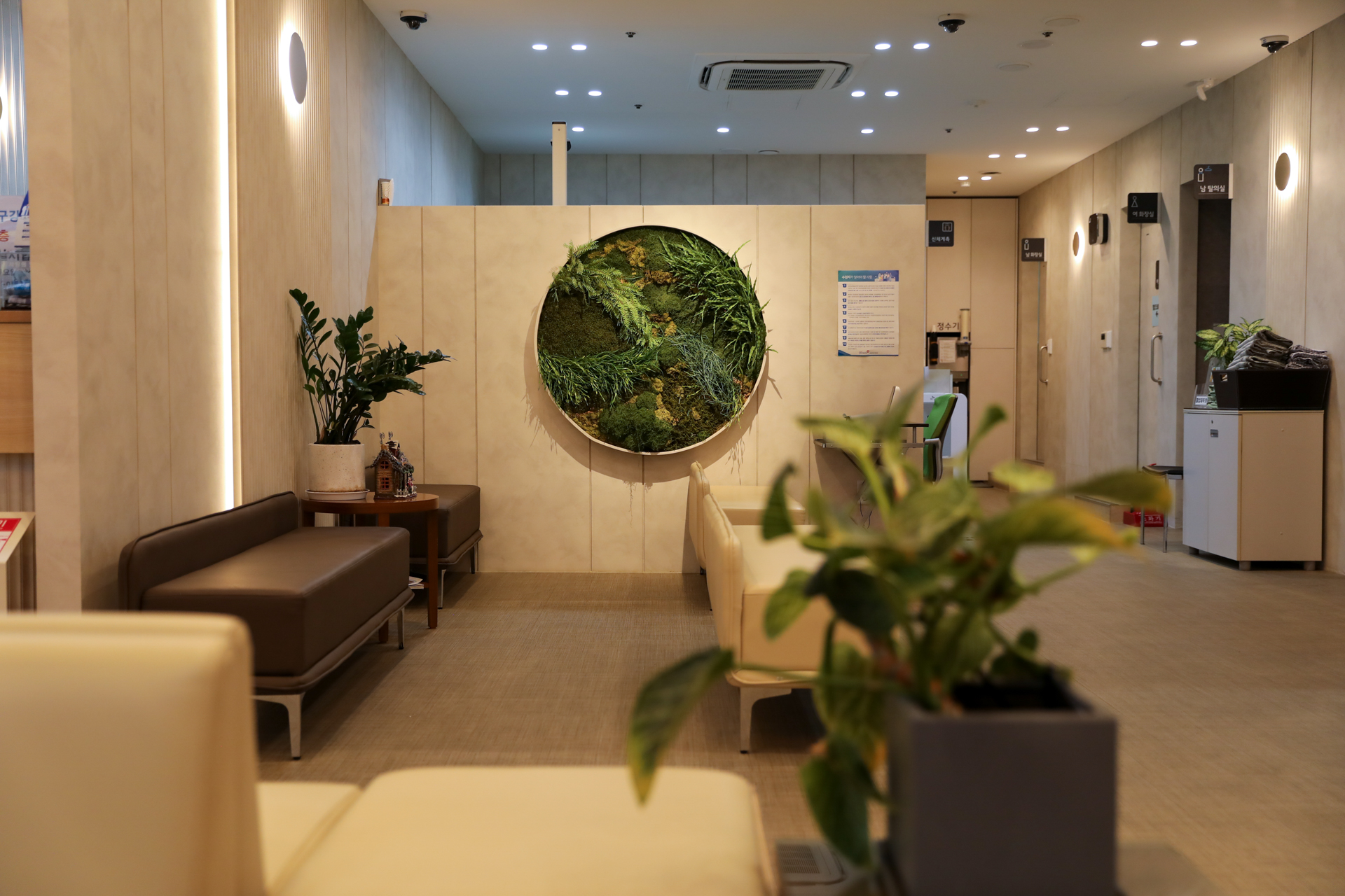 seoul 갤러리 이미지 5