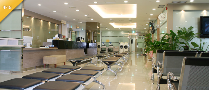 daegu 갤러리 이미지 1