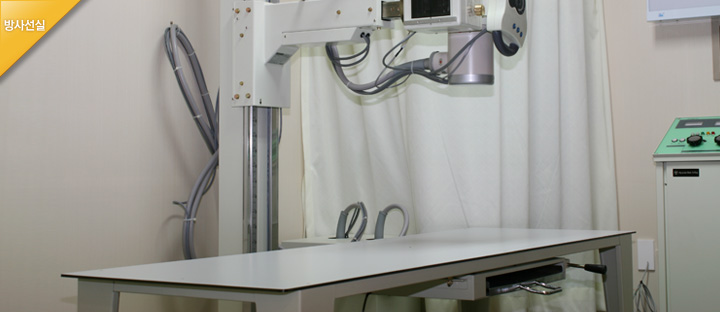 daegu 갤러리 이미지 3