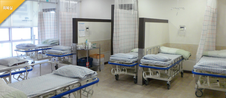 dunsan 갤러리 이미지 4